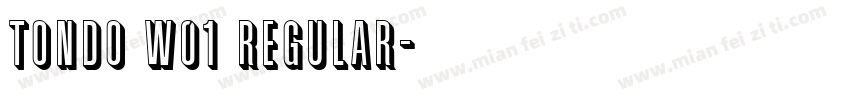 Tondo W01 Regular字体转换